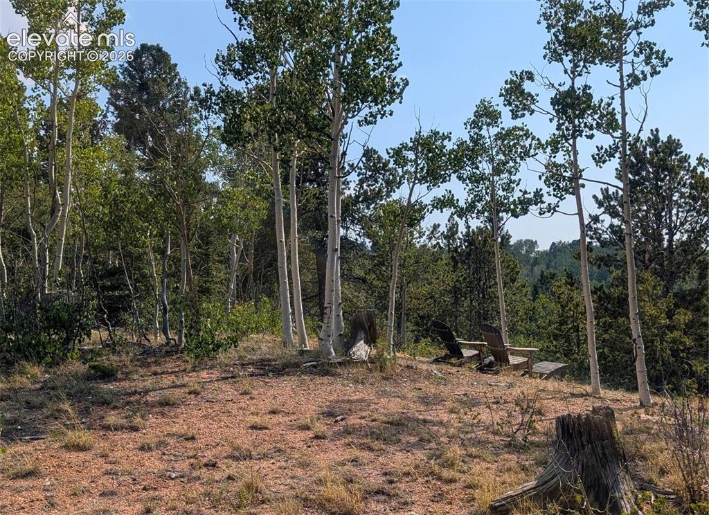 Fairview Drive Cripple Creek CO 80813