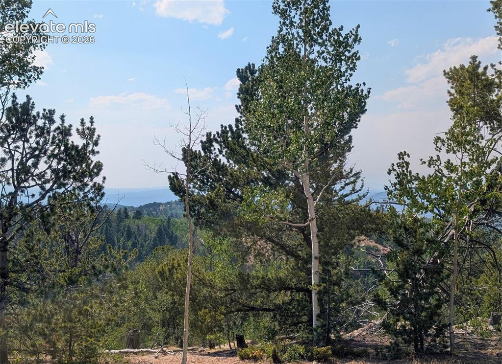 Fairview Drive Cripple Creek CO 80813