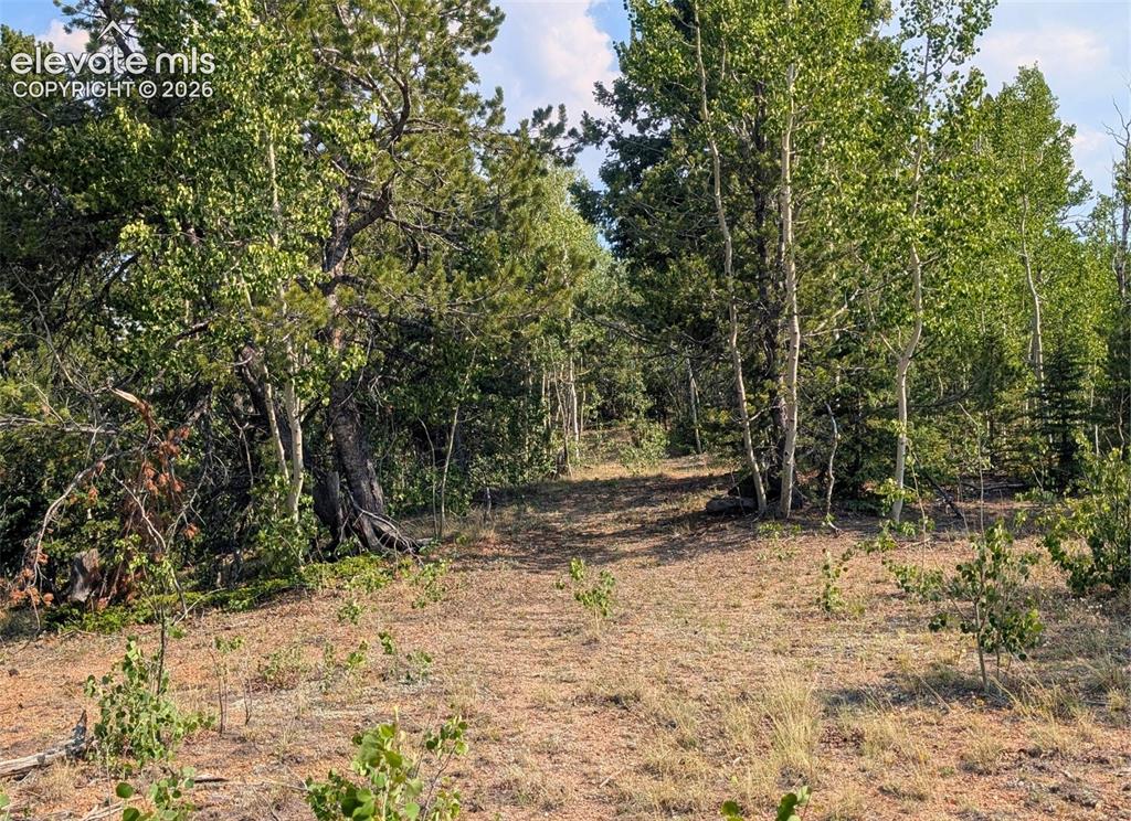 Fairview Drive Cripple Creek CO 80813