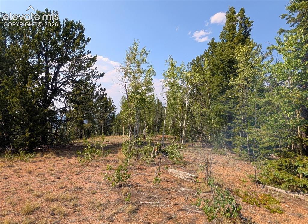 Fairview Drive Cripple Creek CO 80813