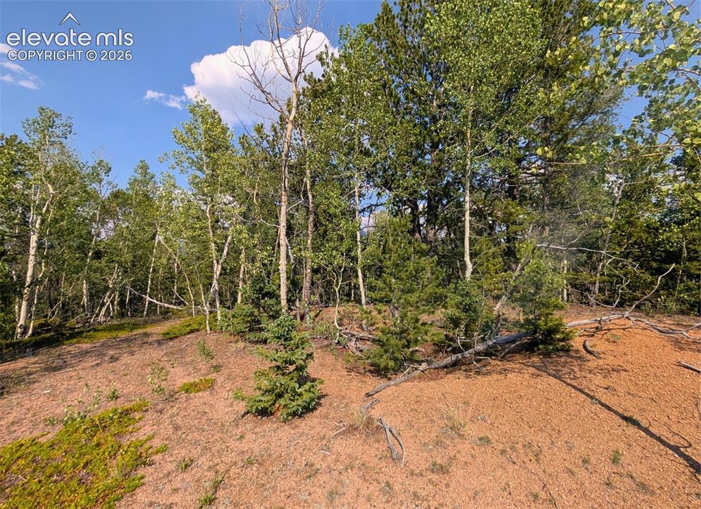 Fairview Drive Cripple Creek CO 80813