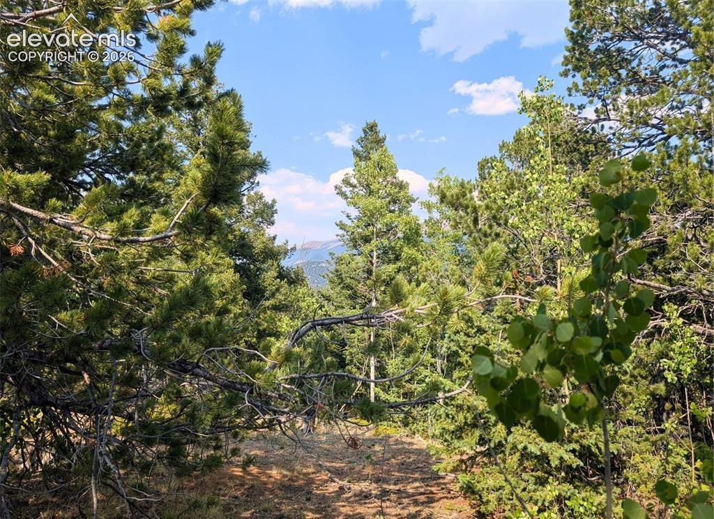 Fairview Drive Cripple Creek CO 80813