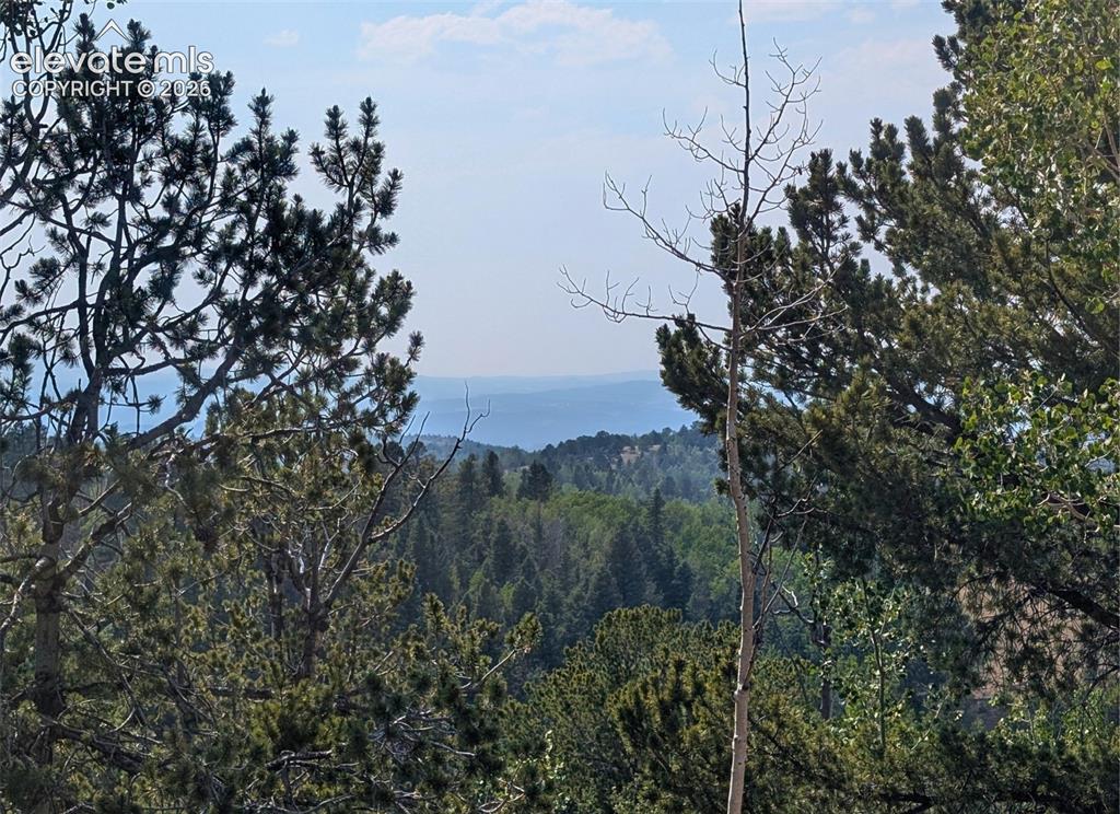 Fairview Drive Cripple Creek CO 80813