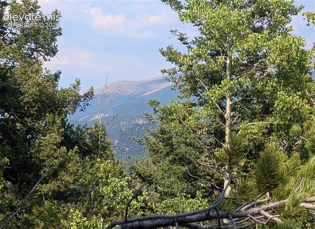 Fairview Drive Cripple Creek CO 80813
