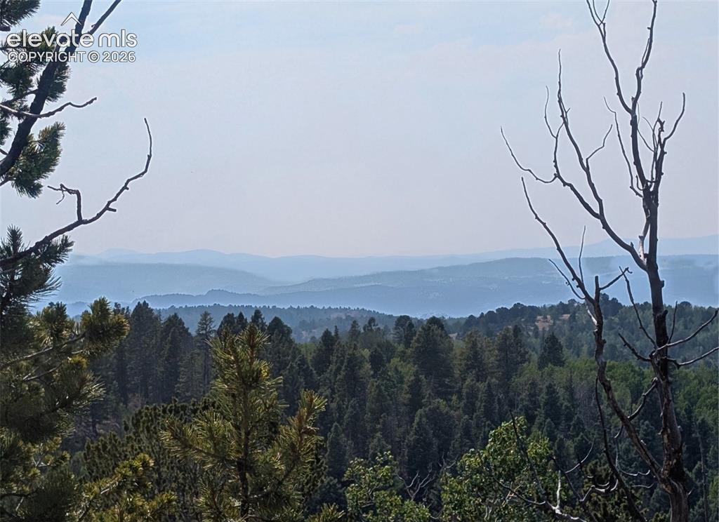 Fairview Drive Cripple Creek CO 80813