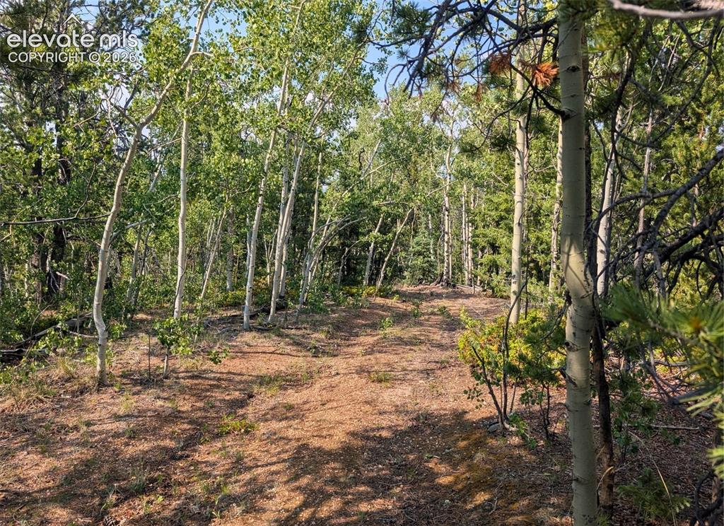 Fairview Drive Cripple Creek CO 80813