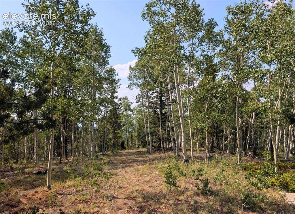 Fairview Drive Cripple Creek CO 80813