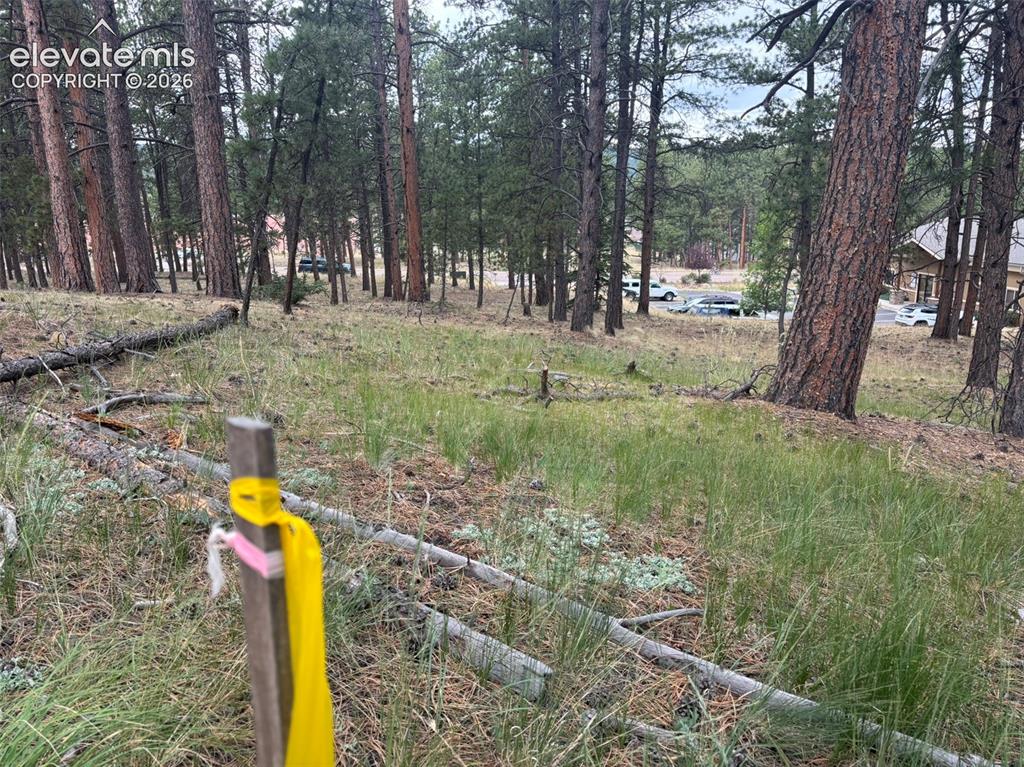 1020 Tamarac Parkway Woodland Park CO 80863