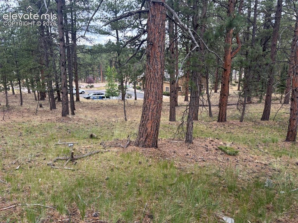 1020 Tamarac Parkway Woodland Park CO 80863