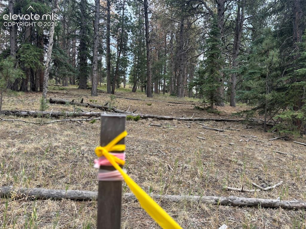 1020 Tamarac Parkway Woodland Park CO 80863