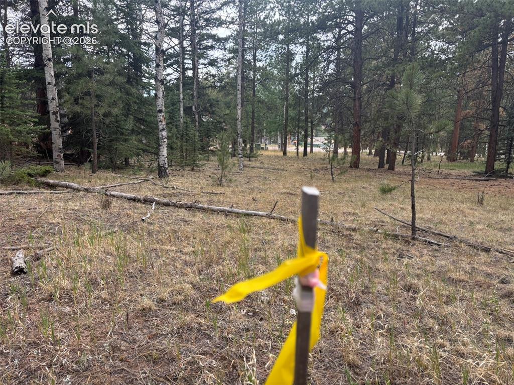 1020 Tamarac Parkway Woodland Park CO 80863
