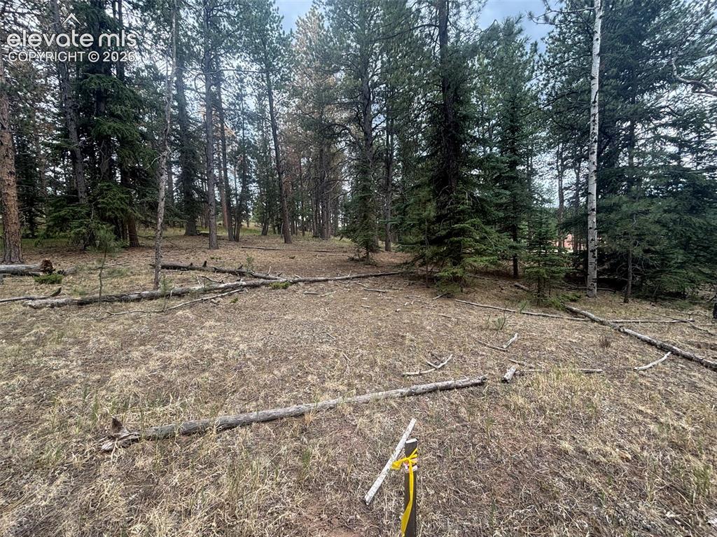 1020 Tamarac Parkway Woodland Park CO 80863