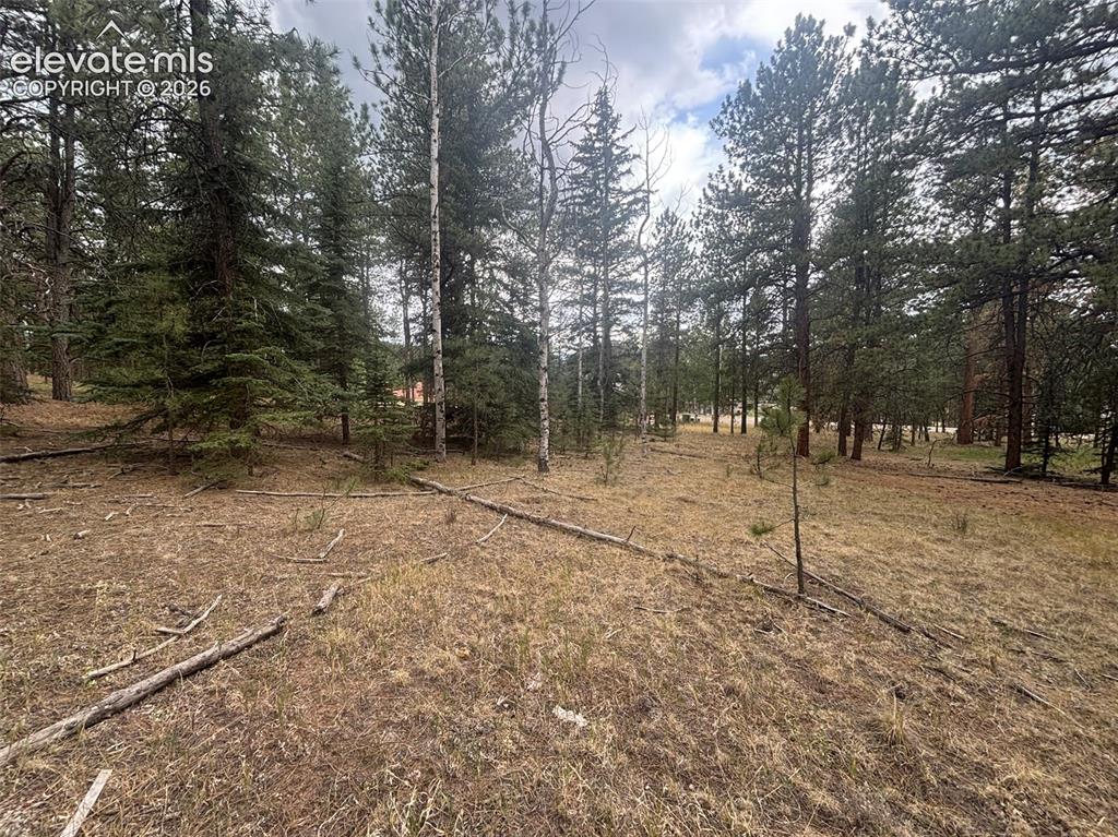 1020 Tamarac Parkway Woodland Park CO 80863