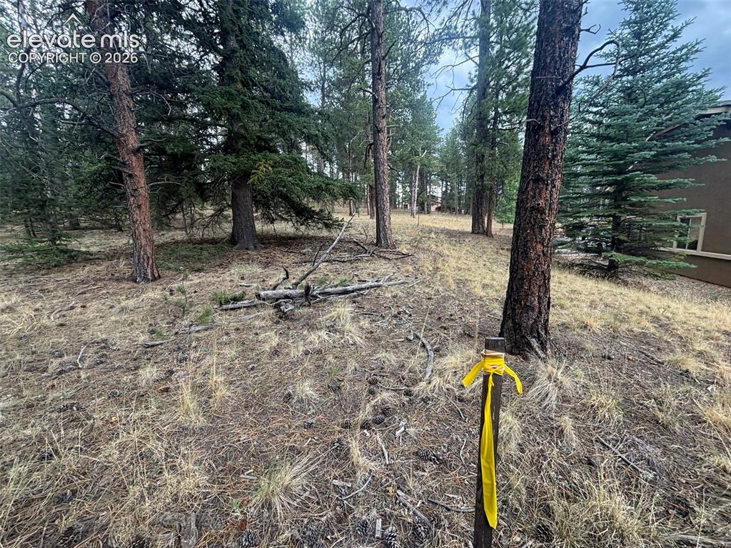 1020 Tamarac Parkway Woodland Park CO 80863
