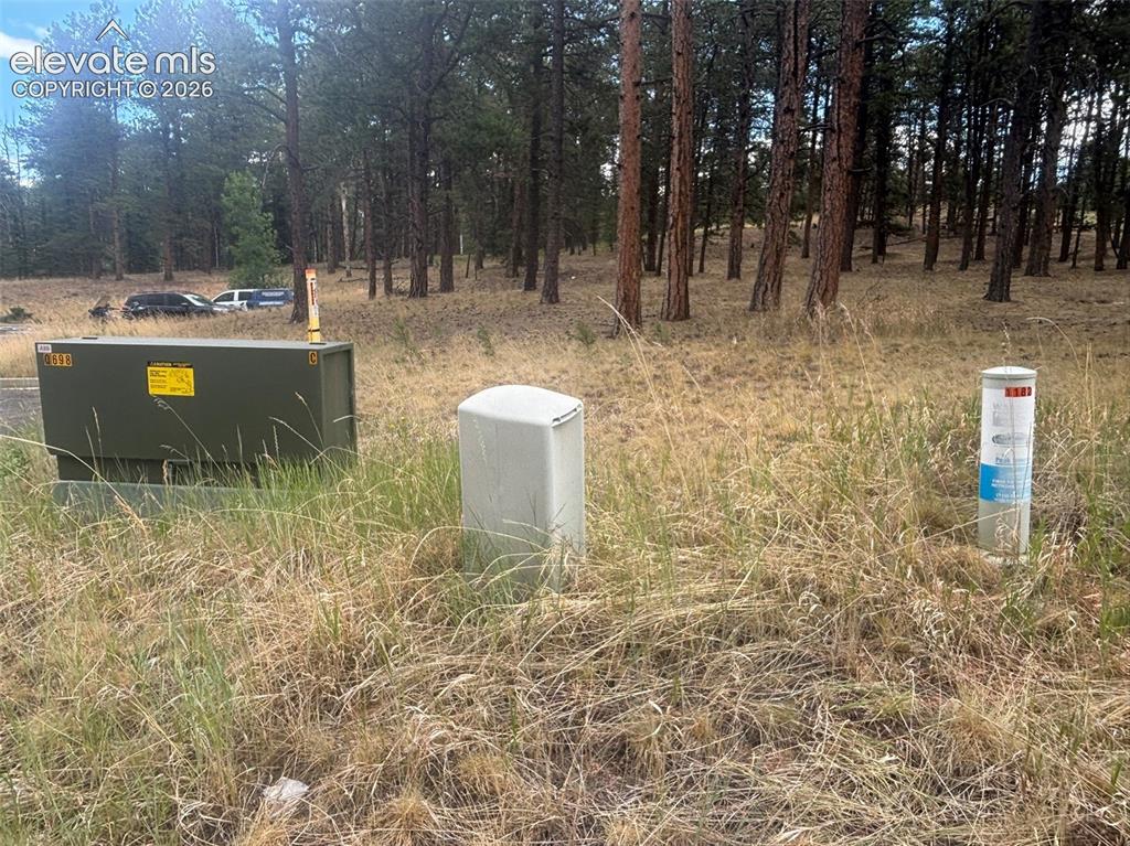 1020 Tamarac Parkway Woodland Park CO 80863