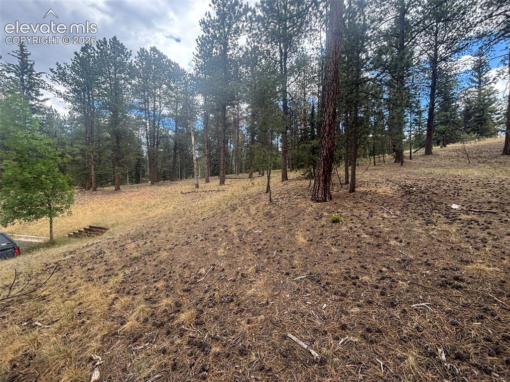 1020 Tamarac Parkway Woodland Park CO 80863