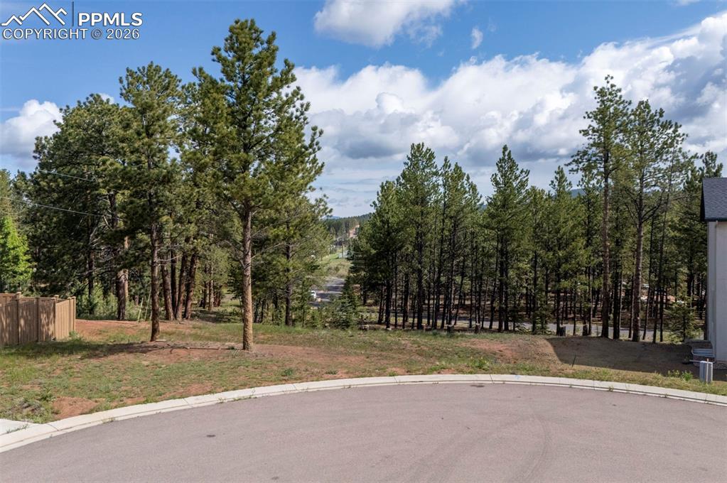 1396 Roberts Ranch Road Woodland Park CO 80863