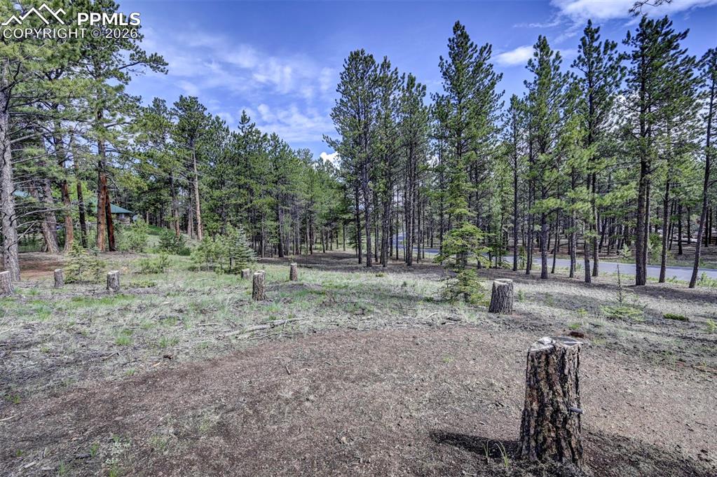 1396 Roberts Ranch Road Woodland Park CO 80863
