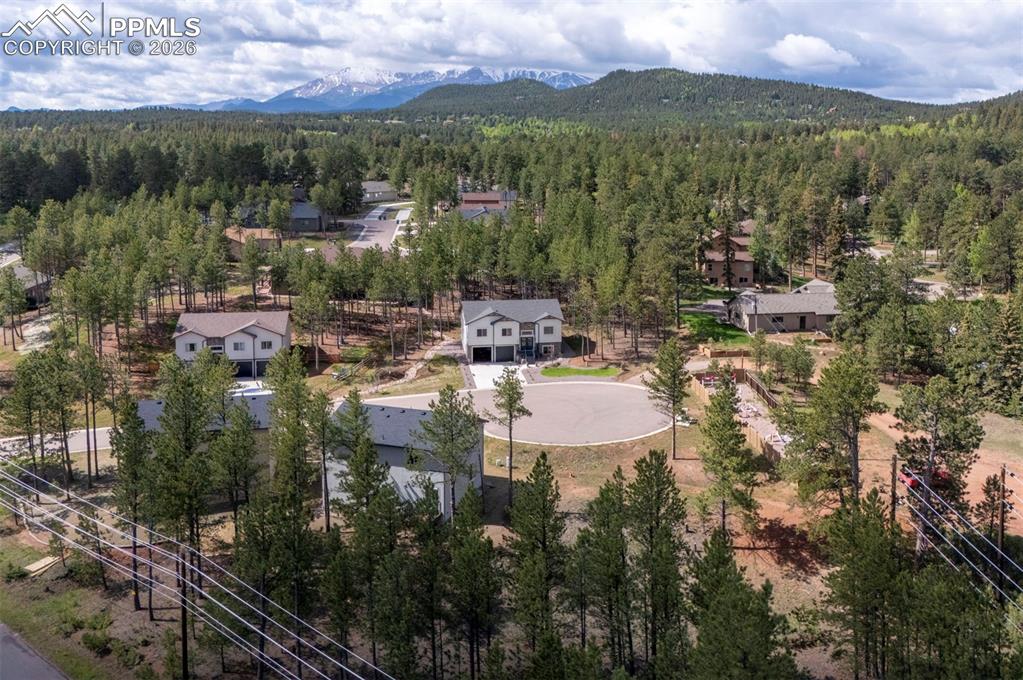 1396 Roberts Ranch Road Woodland Park CO 80863