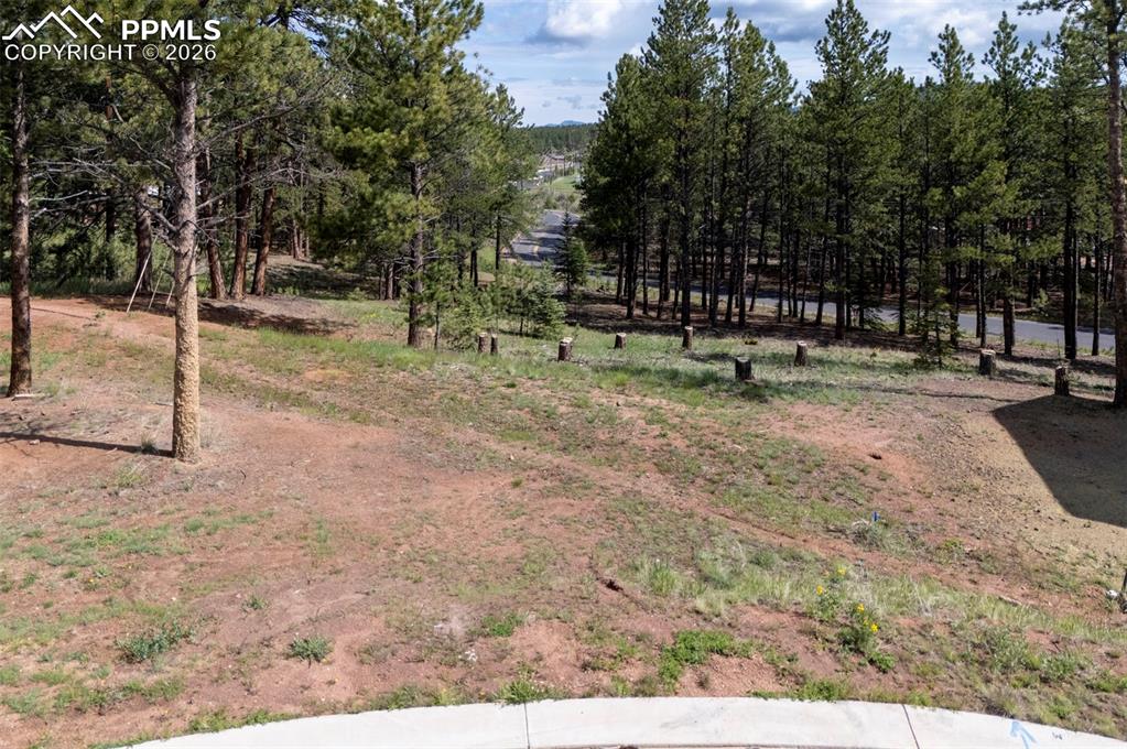 1396 Roberts Ranch Road Woodland Park CO 80863