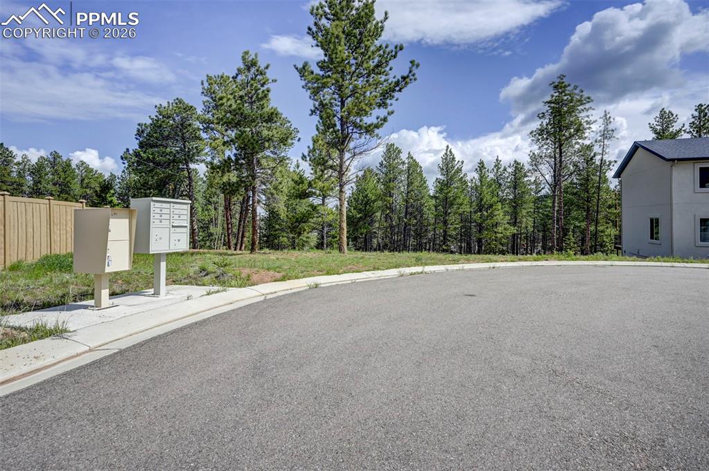 1396 Roberts Ranch Road Woodland Park CO 80863