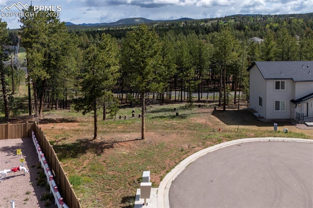 1396 Roberts Ranch Road Woodland Park CO 80863