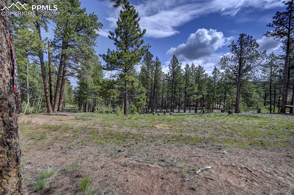 1396 Roberts Ranch Road Woodland Park CO 80863