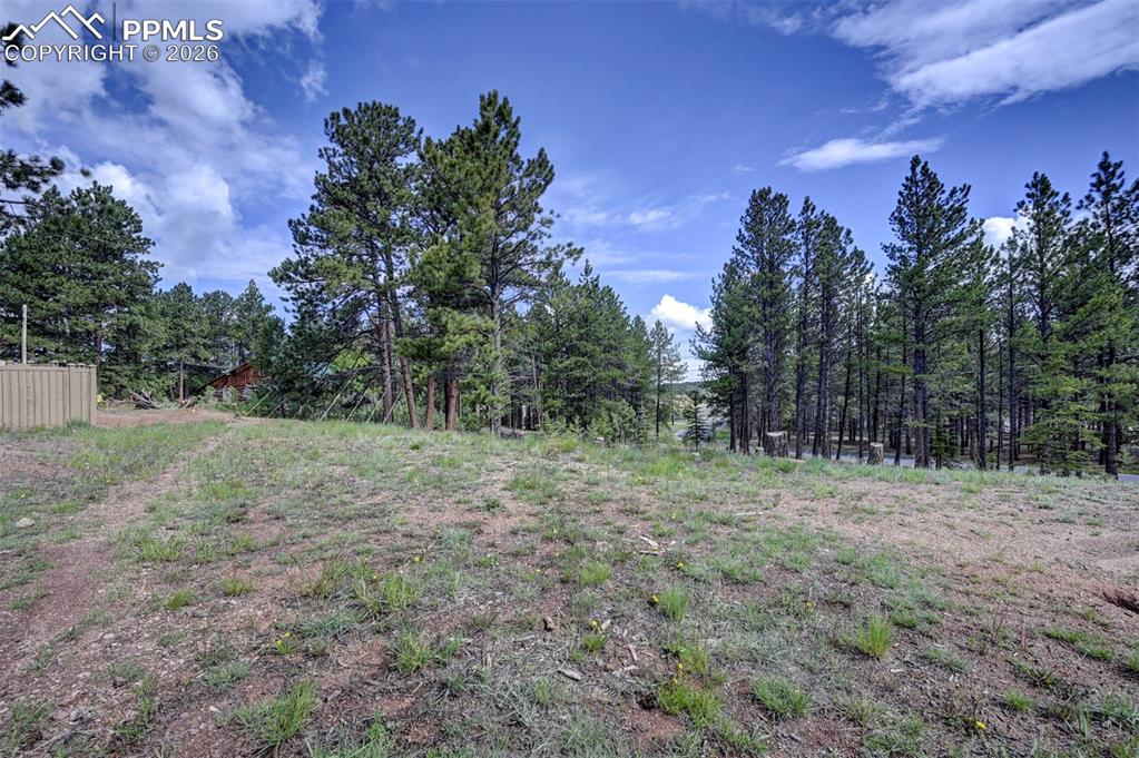 1396 Roberts Ranch Road Woodland Park CO 80863