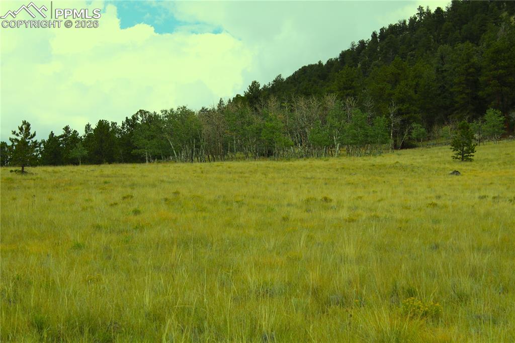 Highway 24 Hartsel CO 80827