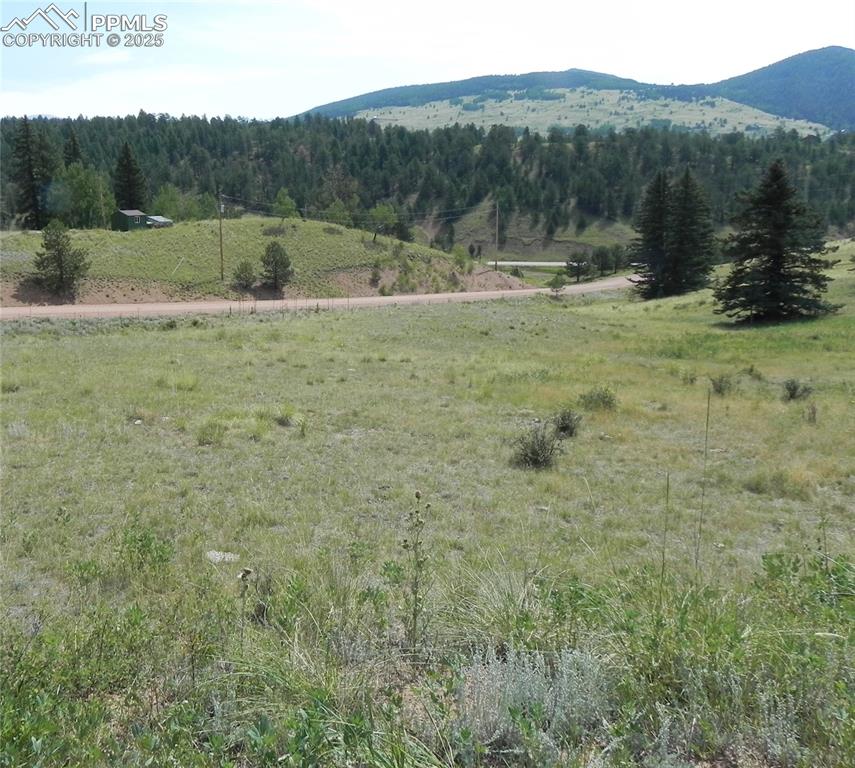 53 Nickel Plate Road Cripple Creek CO 80813