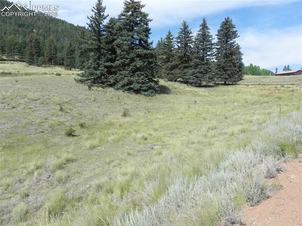 53 Nickel Plate Road Cripple Creek CO 80813