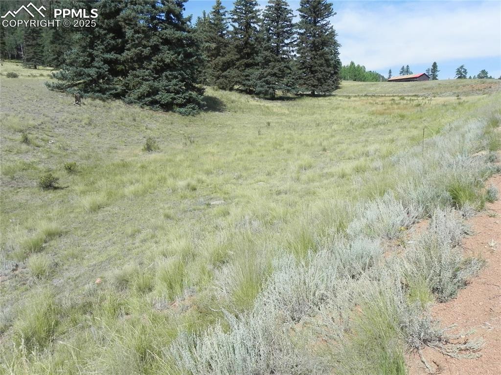 53 Nickel Plate Road Cripple Creek CO 80813