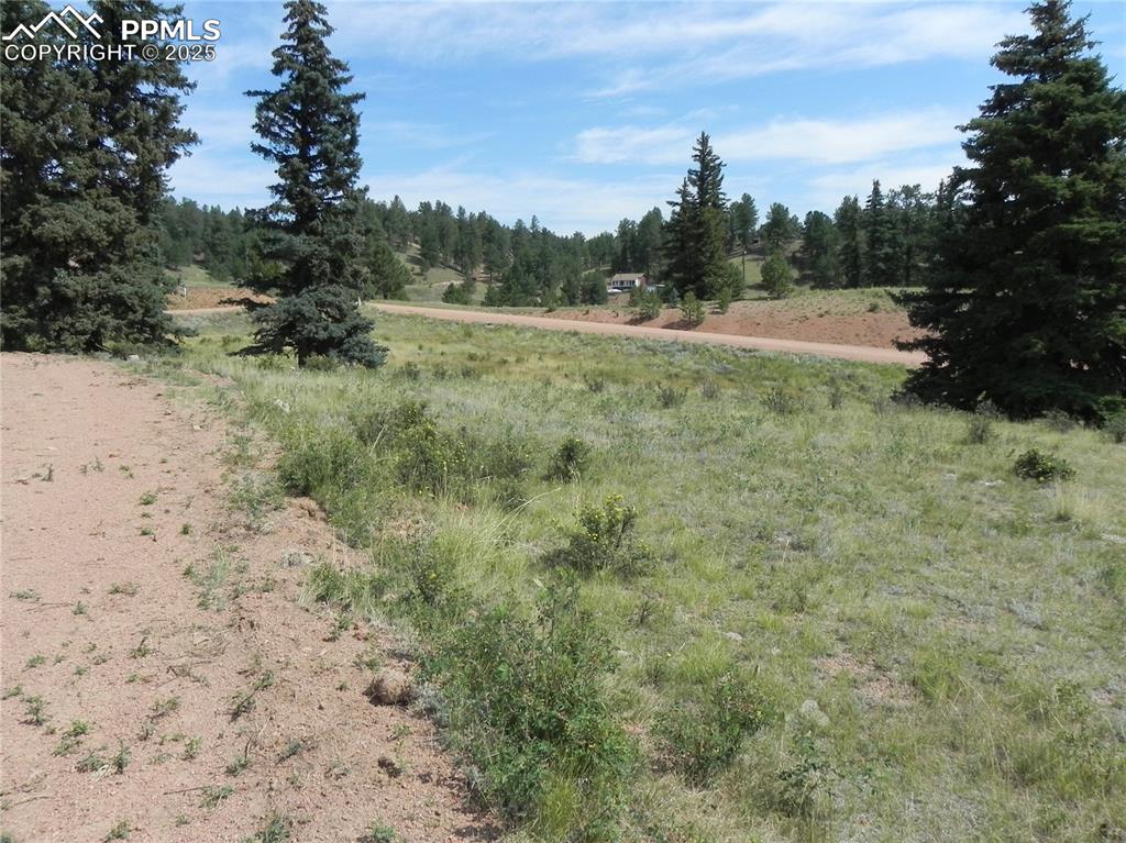 53 Nickel Plate Road Cripple Creek CO 80813