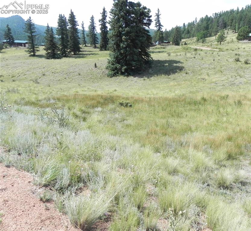 53 Nickel Plate Road Cripple Creek CO 80813