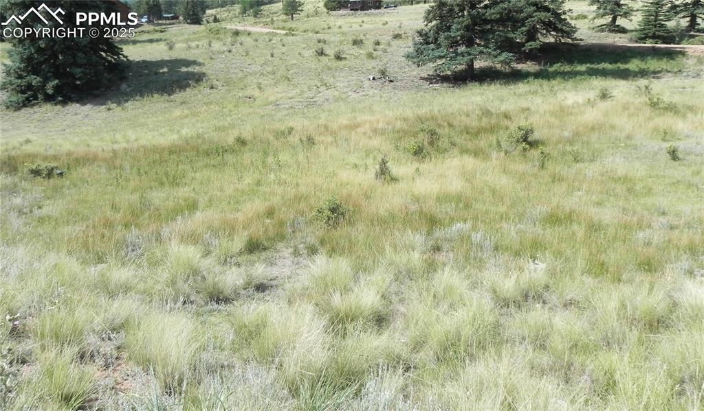 53 Nickel Plate Road Cripple Creek CO 80813