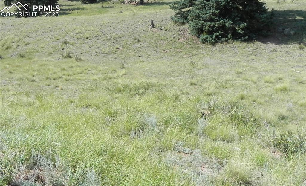 53 Nickel Plate Road Cripple Creek CO 80813