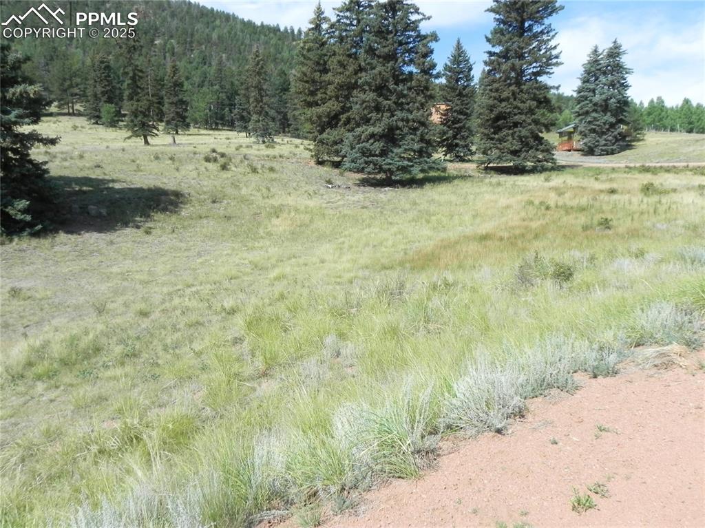 53 Nickel Plate Road Cripple Creek CO 80813