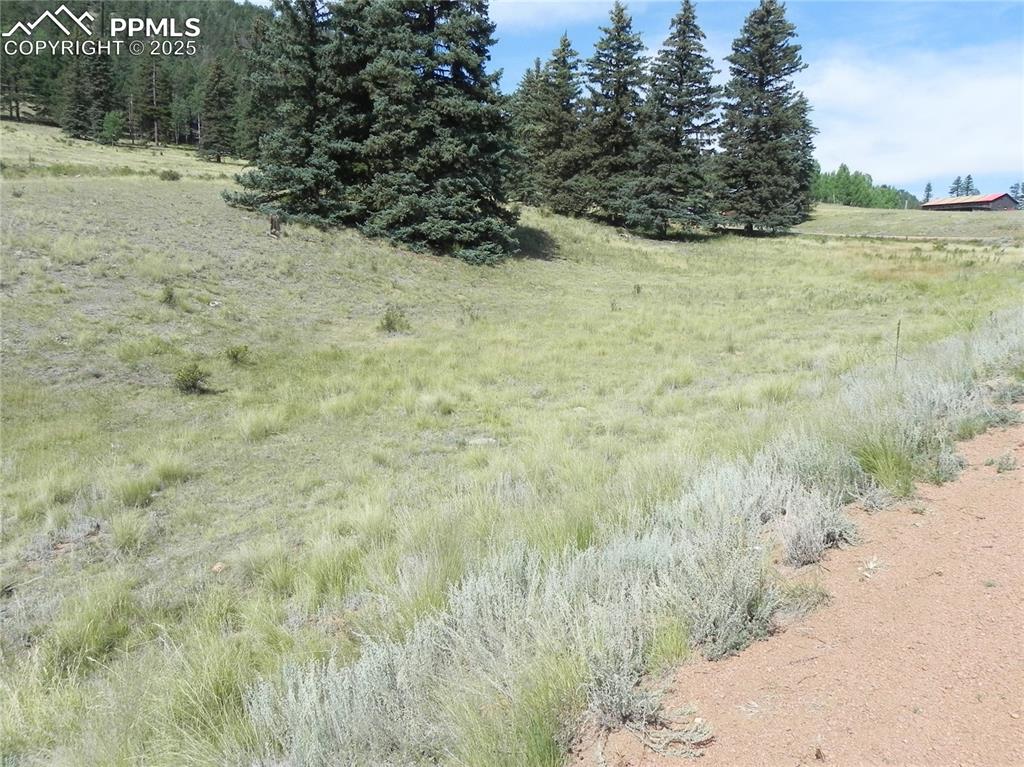 53 Nickel Plate Road Cripple Creek CO 80813