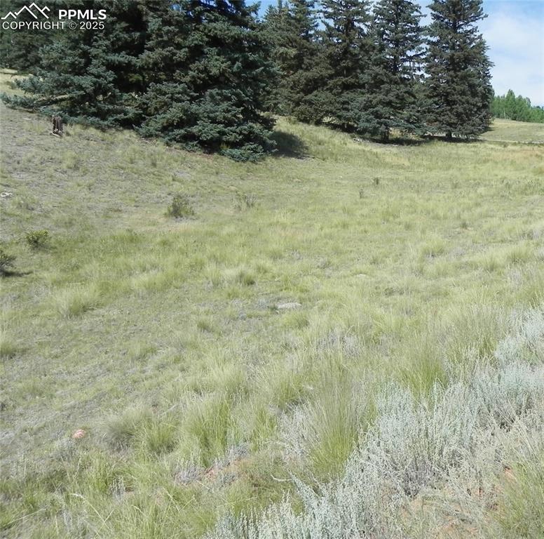 53 Nickel Plate Road Cripple Creek CO 80813