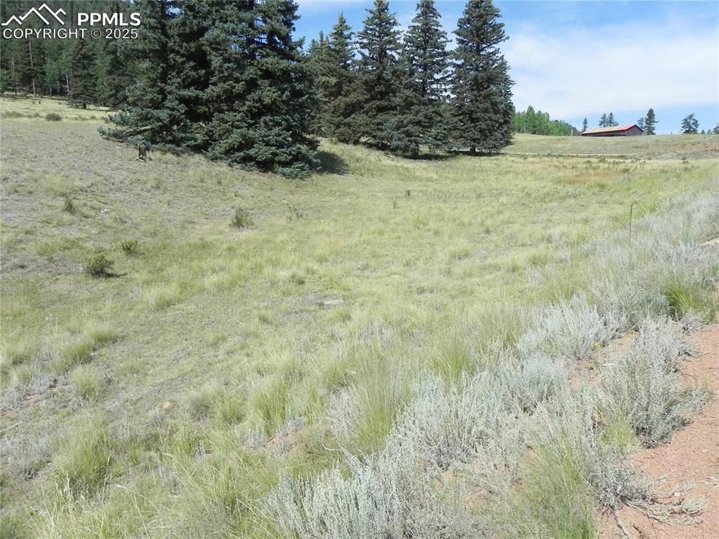 53 Nickel Plate Road Cripple Creek CO 80813