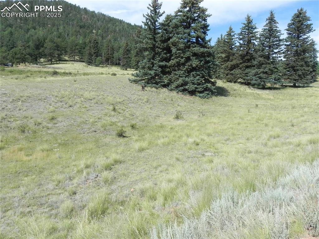 53 Nickel Plate Road Cripple Creek CO 80813