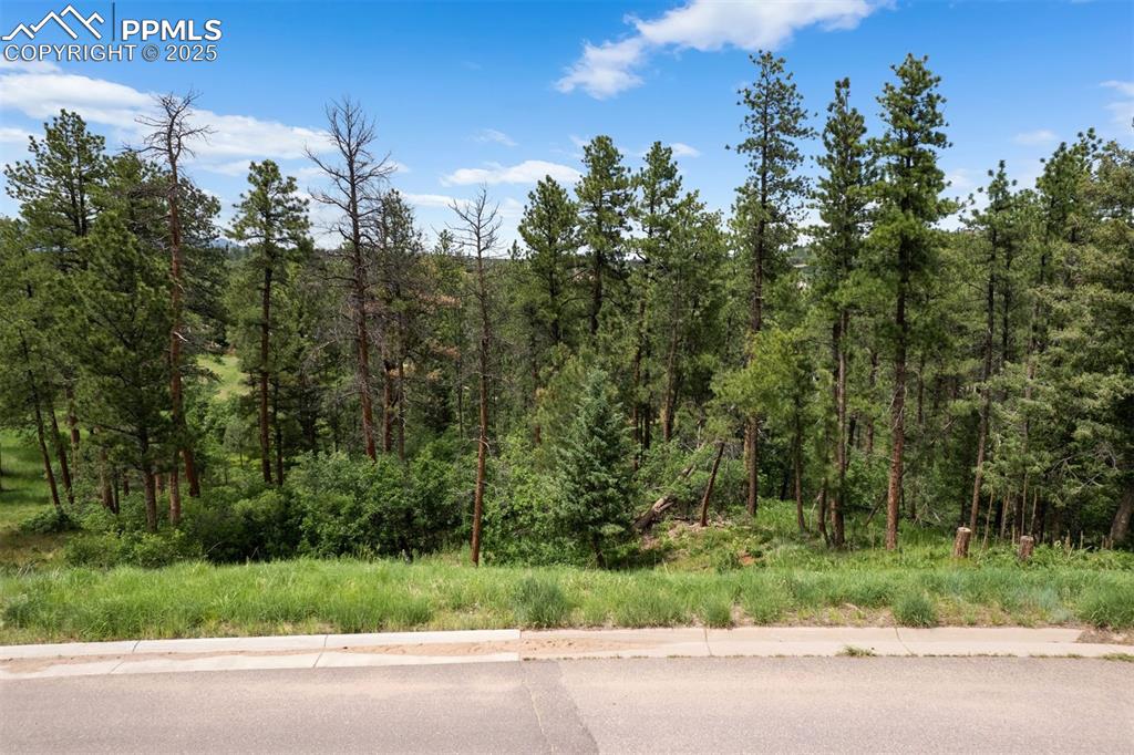 8058 Inca Road Larkspur CO 80118