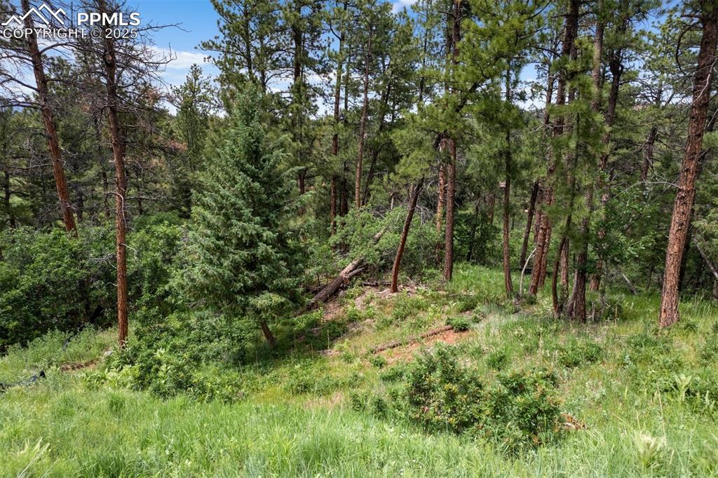 8058 Inca Road Larkspur CO 80118