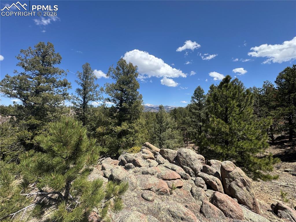 487 Pike View Lane Florissant CO 80816