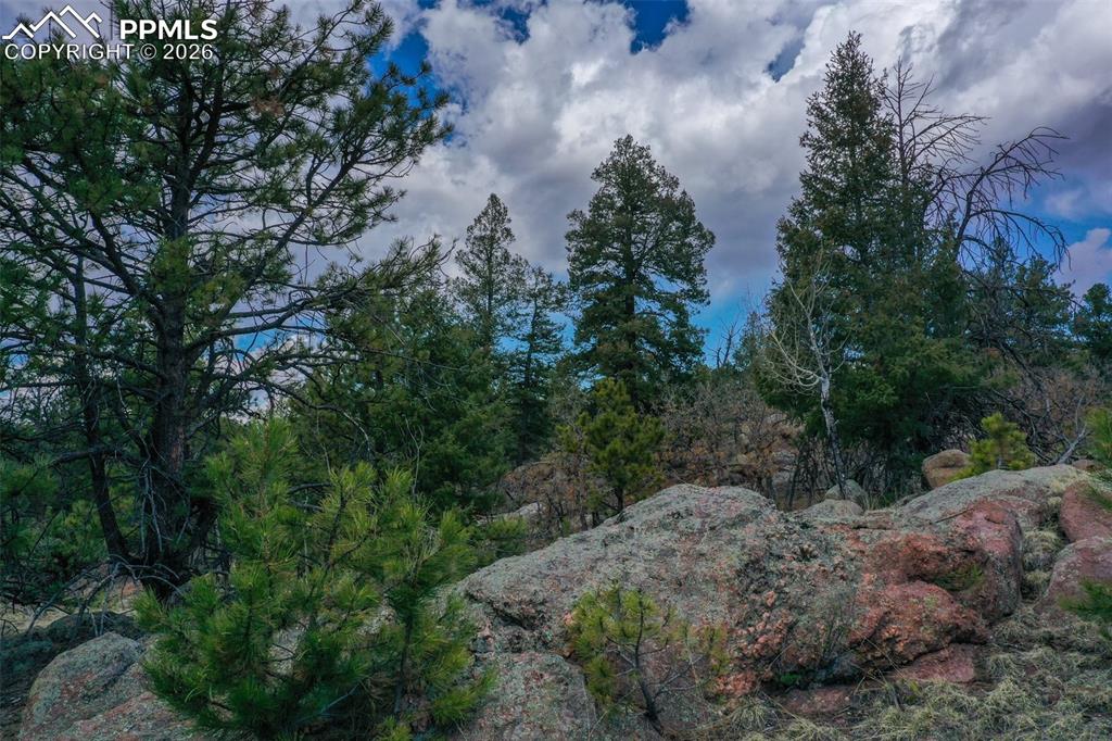 487 Pike View Lane Florissant CO 80816