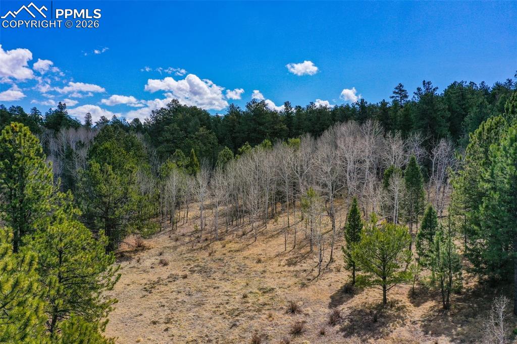 487 Pike View Lane Florissant CO 80816