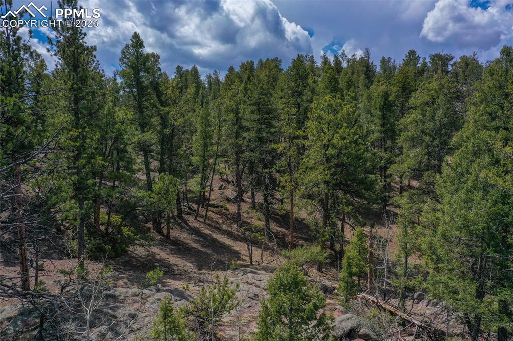 487 Pike View Lane Florissant CO 80816