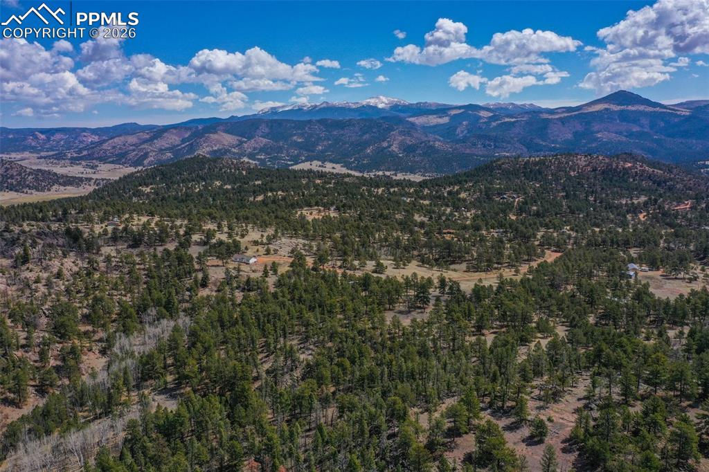 487 Pike View Lane Florissant CO 80816