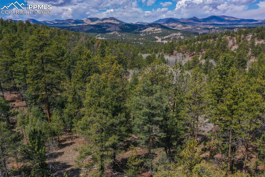 487 Pike View Lane Florissant CO 80816