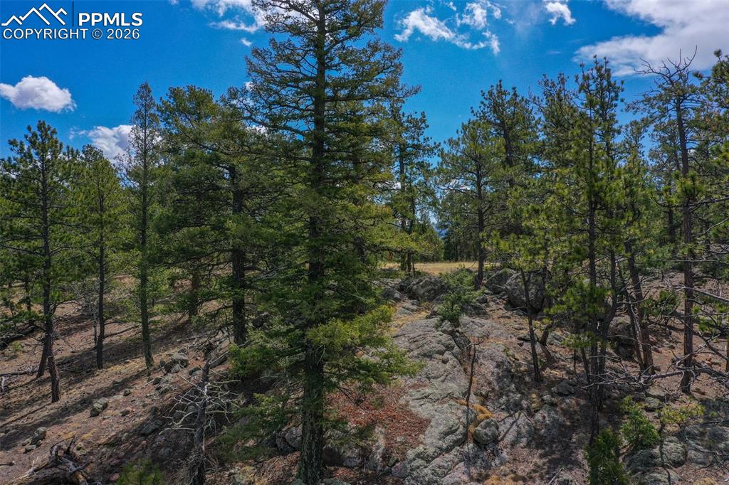 487 Pike View Lane Florissant CO 80816